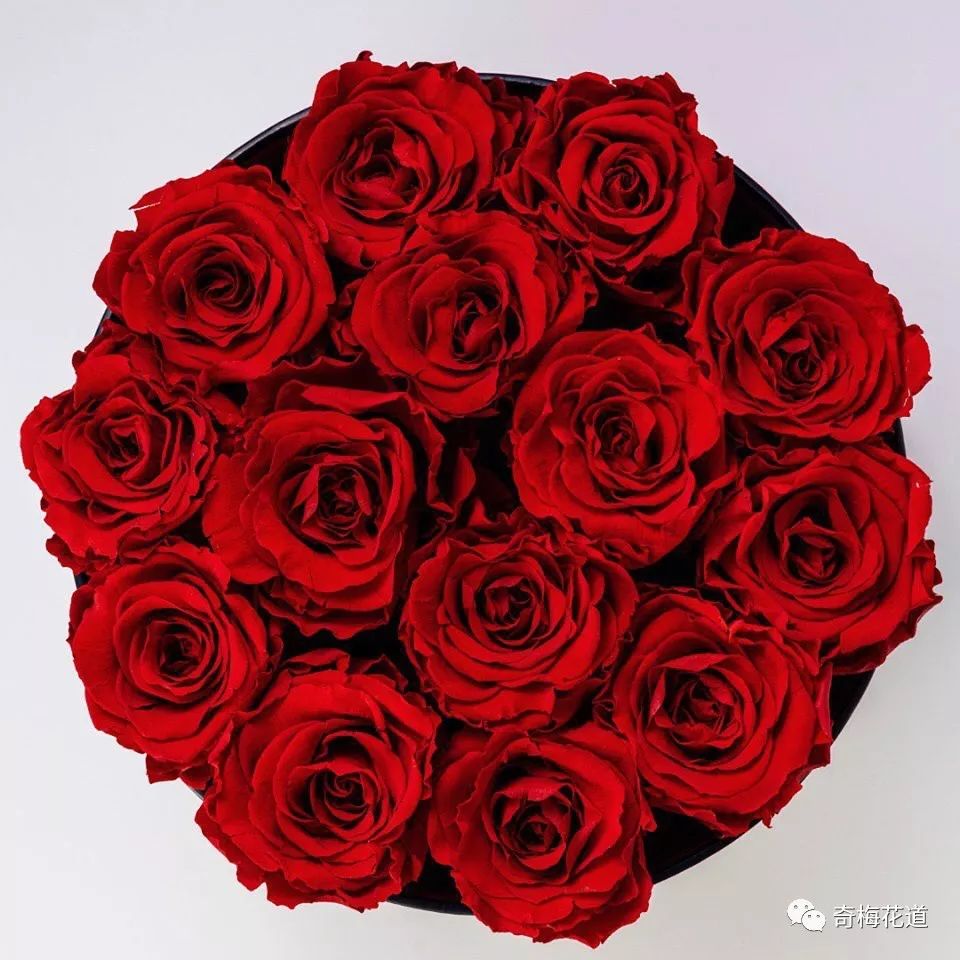 花深红玫瑰花的一种,瓣质硬,叶片墨绿,枝硬挺直,有细刺,花深红色,花苞