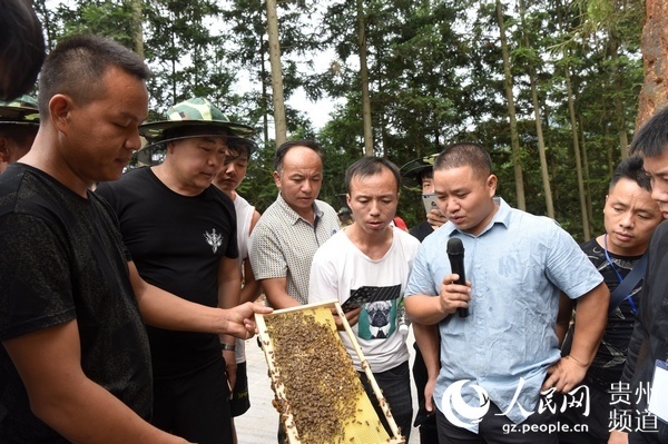 水族青年王吉安的甜蜜创业梦