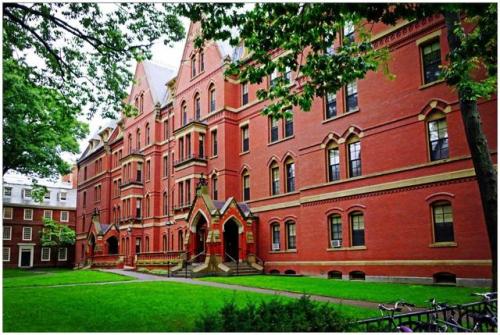 淄博的大学分别在哪里 84592739bb8f478ebc9210d17e3b874d.jpeg