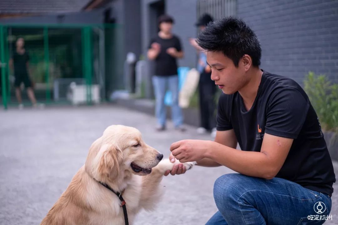 超多明星认可的国家级训犬师5000m05超大型宠物训练乐园让主子宛若