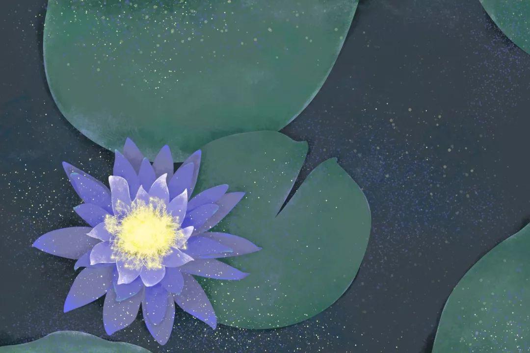 壁纸 花 桌面 1080_720