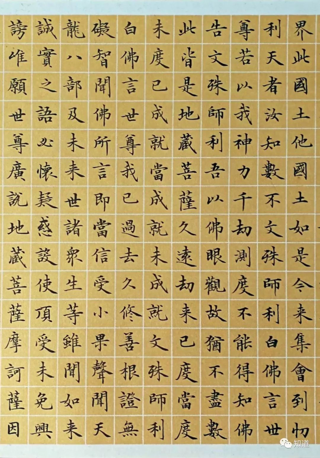 原创knowart于志强小楷地藏经01