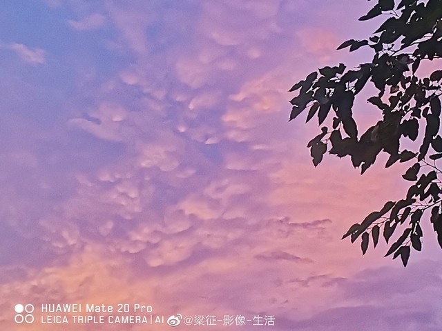 콵
