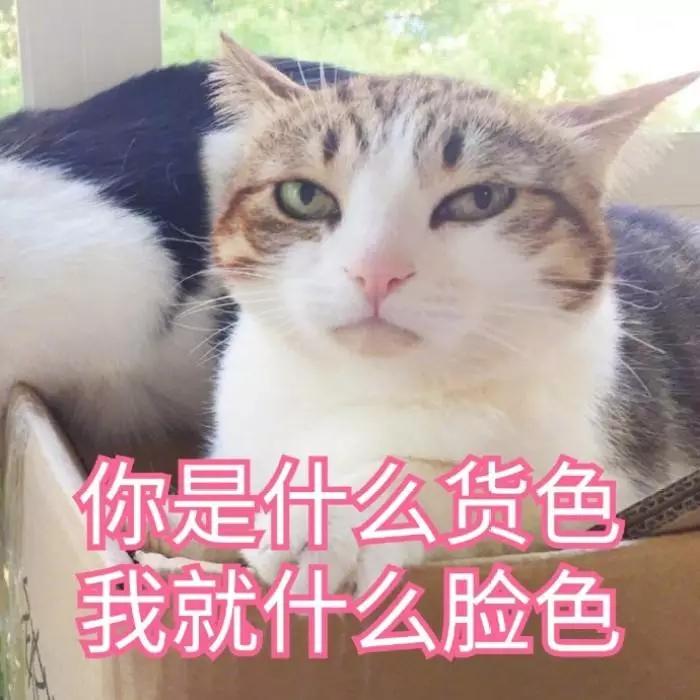 比许志安还要渣?他脚踩五条船,情史厚过电话本,骗色又骗财! 新濠天地线上娱乐