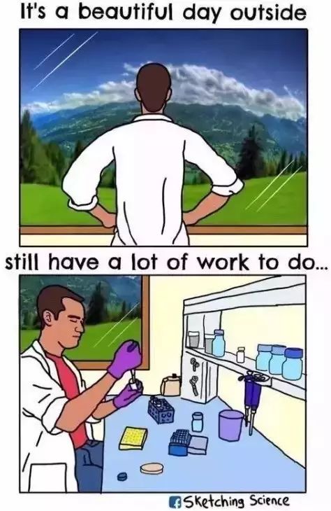 别笑!这就是科研狗的真实经历