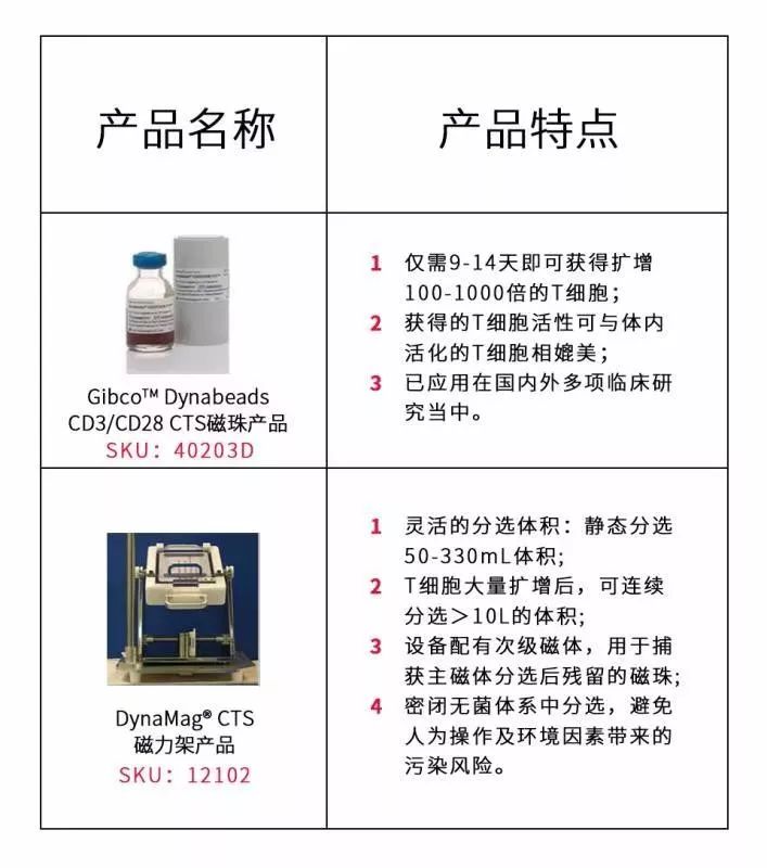 细说CART 用Gibco CTS Dynabeads CD3/CD28一步分离和激活初始及早期记忆T细胞搜狐大视野搜狐新闻