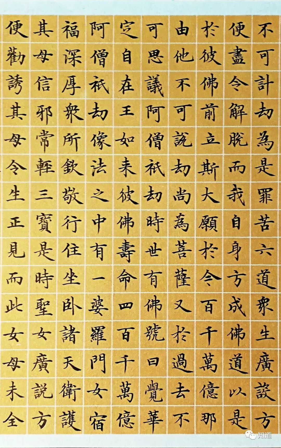 原创knowart于志强小楷地藏经01