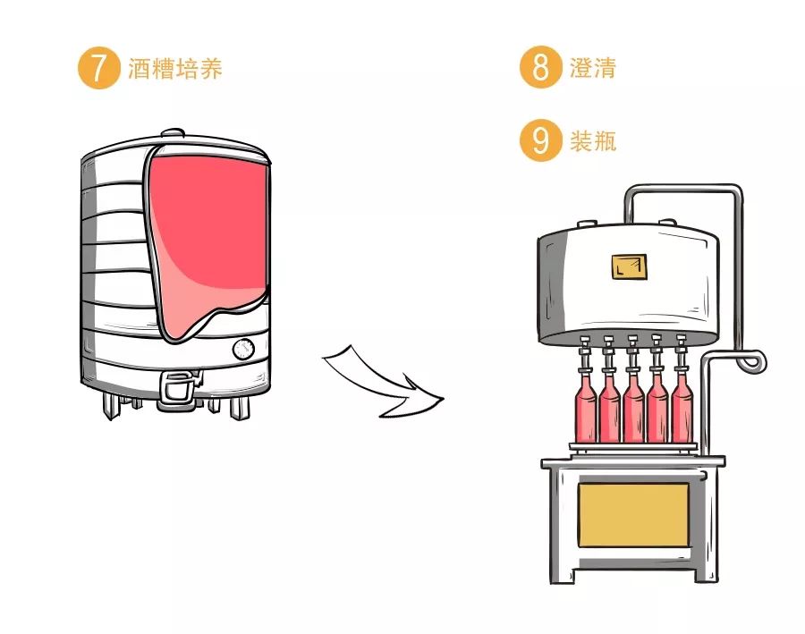 葡萄酒知识史上最全红葡萄酒酿造过程图解