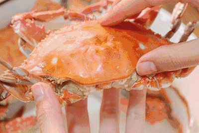ba8112e09fff48ccb0cd03647a4e1bc8.gif