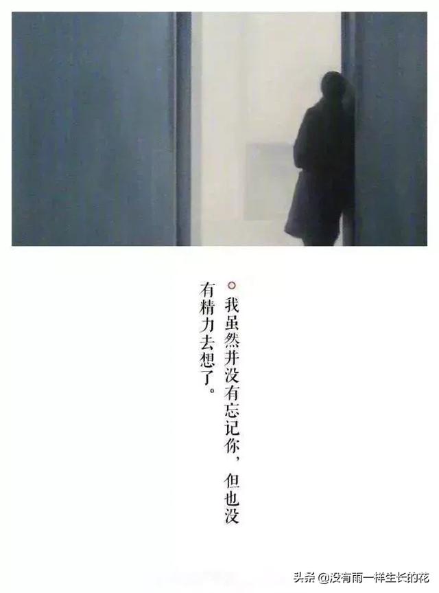 遗憾吗,我们就这样莫名其妙的谁也不理谁了