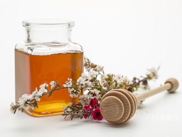 蜂蜜活性可以维持多久? 博e百娱乐网站