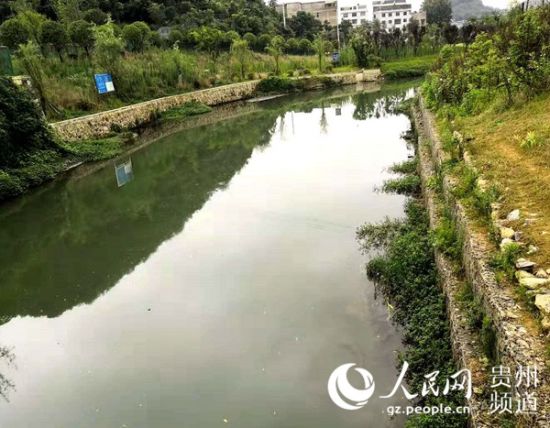 贵阳云岩:以“钉钉子”精神修复和保护金钟河 新金沙真人开户