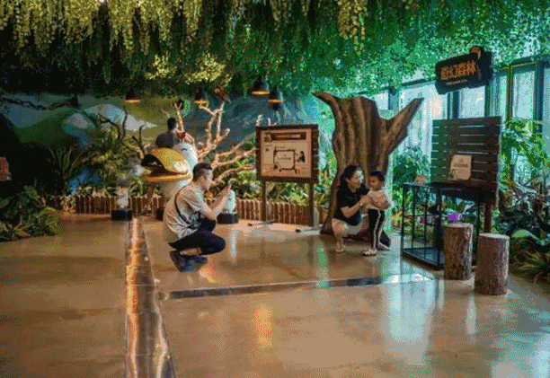 1000 动物零距离接触,抚摸!