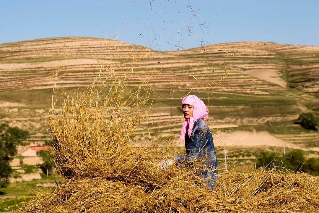 嗳人口_冷嗳人生女演员表(3)