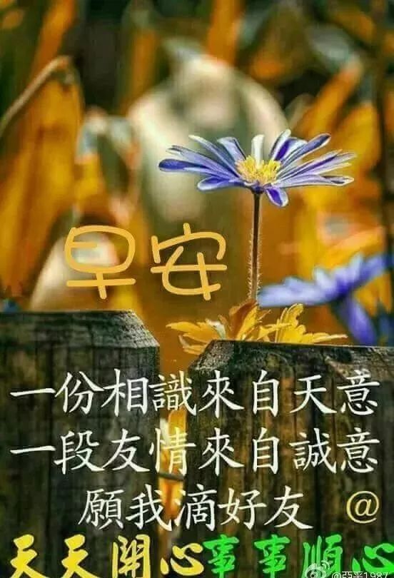 超温馨的早上好问候语动态图片,早安祝福语表情动图