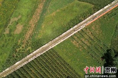 贵州黔西:百里人工渠 又见活水来 pp电子幽灵财富