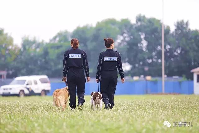 探秘丨警花与警犬