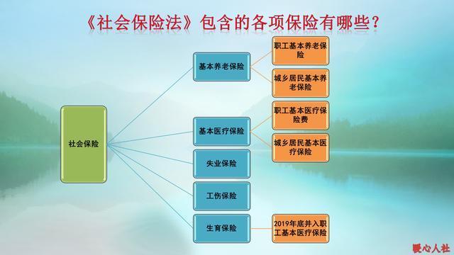 五险指的是哪五险？有kb体育什么用？可不可以不要？(图1)