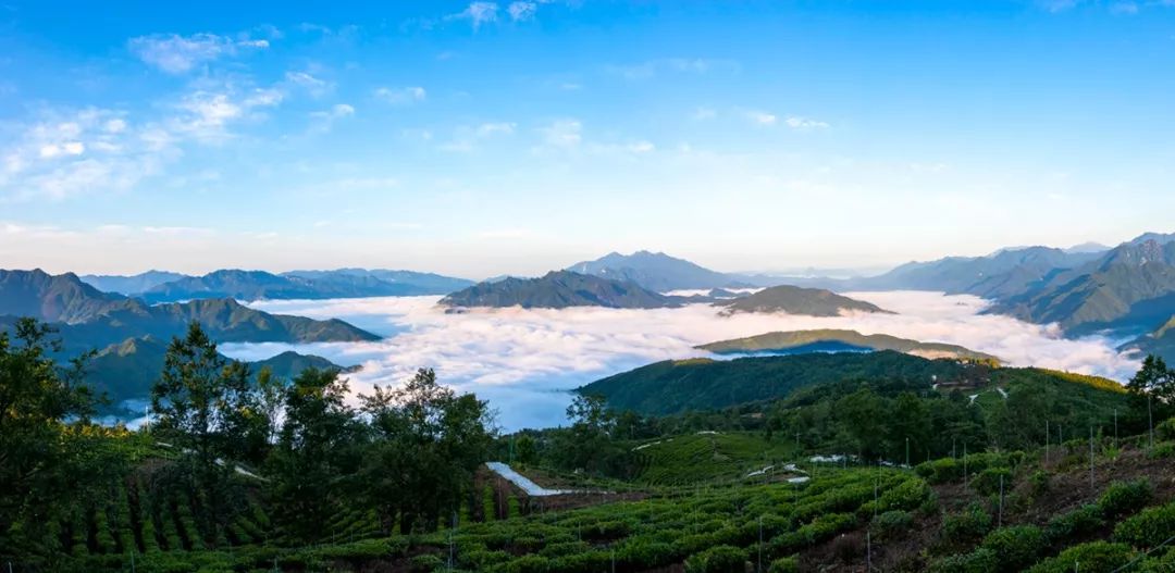 【东西协作看青川】送你一份"没有夏燥"的青川旅游攻略,请收好