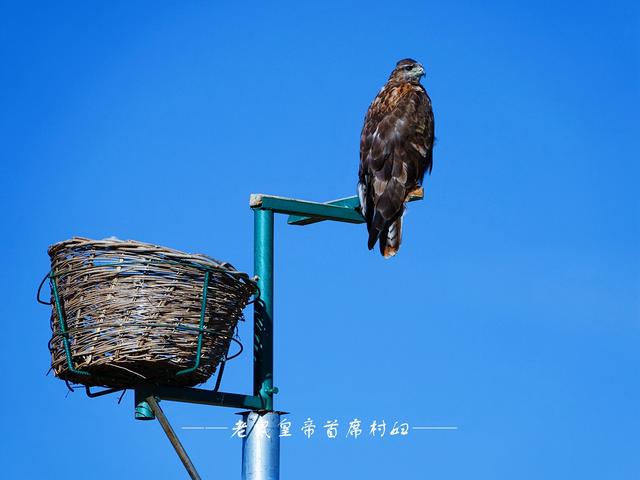 点击图片看原样大小图片