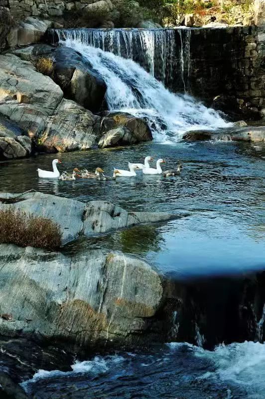 玉白河流经朝阳,芝麻墩,梅家埠三个街道,北起玉白河与小埠东东干渠