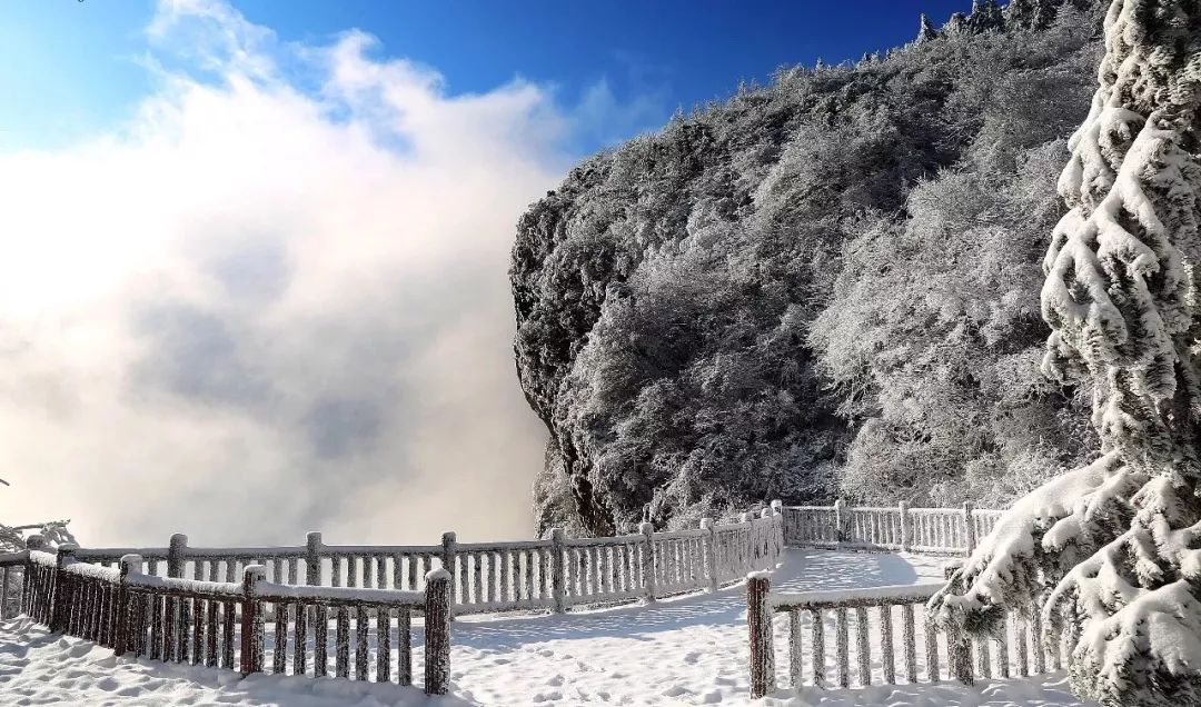 【晒文化 晒风景】彭水摩围山:悬在天堂上的氧吧!