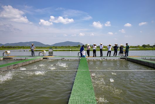 杭州市生态环境局调研组来浔调研渔业养殖尾水治理工作