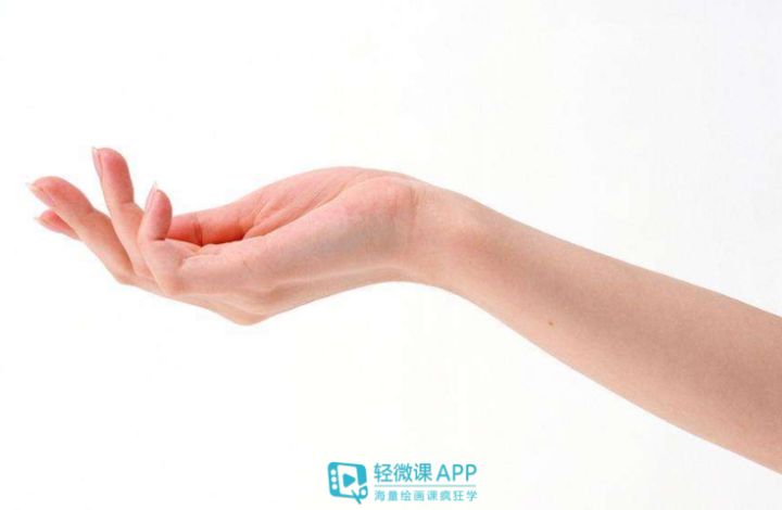 手的基本画法步骤图解