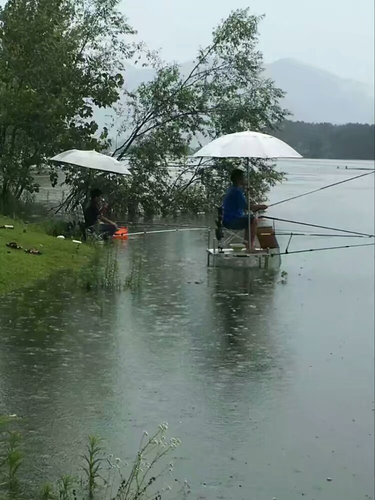 南方钓友说北风好,北方会说南风好!夏季选位不是你想的那样