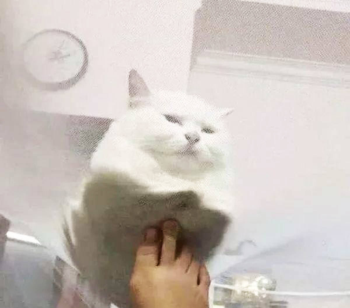 22e6dc2008534e559517ef9e02545dd5.jpeg