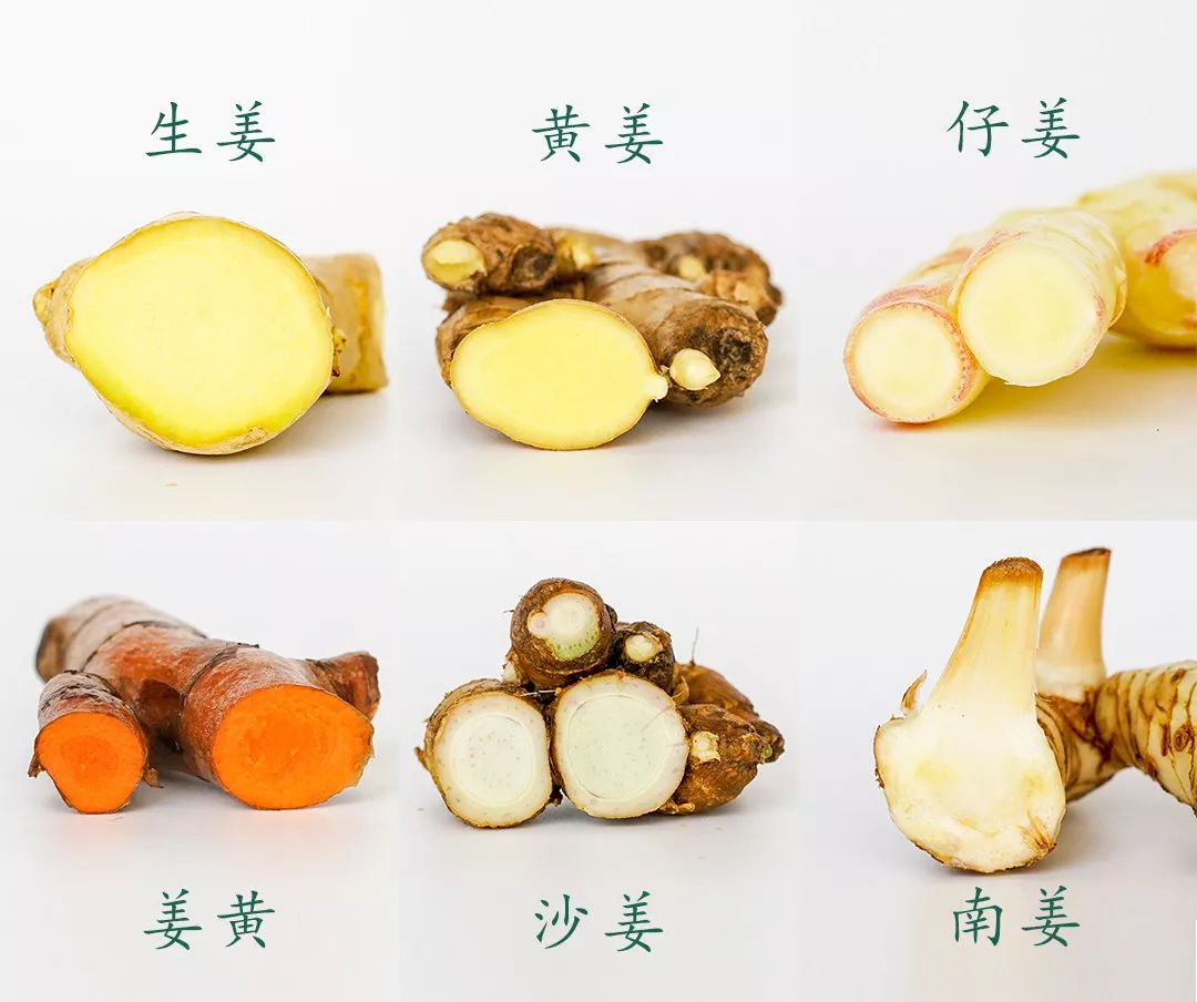 “姜”分五种，不同种类姜的功效和使用区别