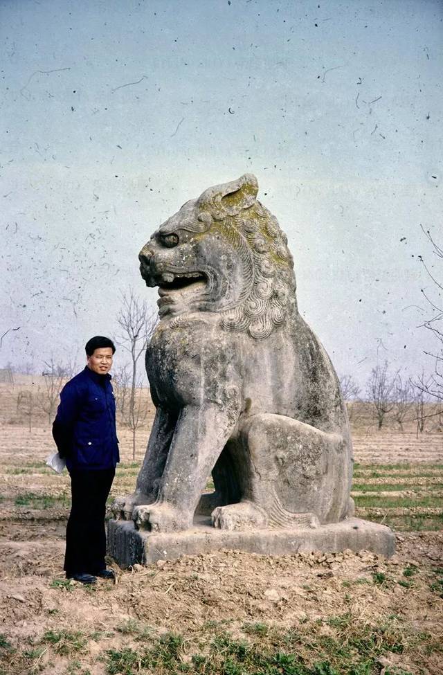 帝陵视野八十年代的唐陵