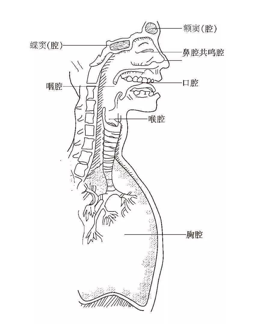 官成人口(2)