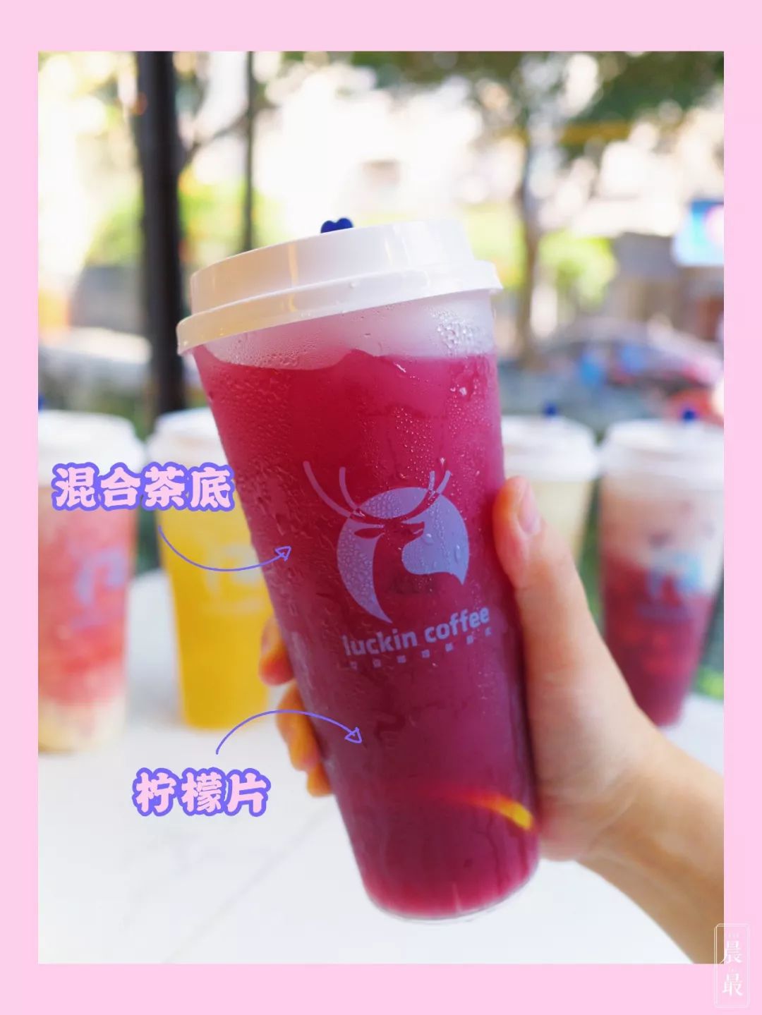 3f44a7298d504af7aa1c5ae6bee7d69f.jpeg
