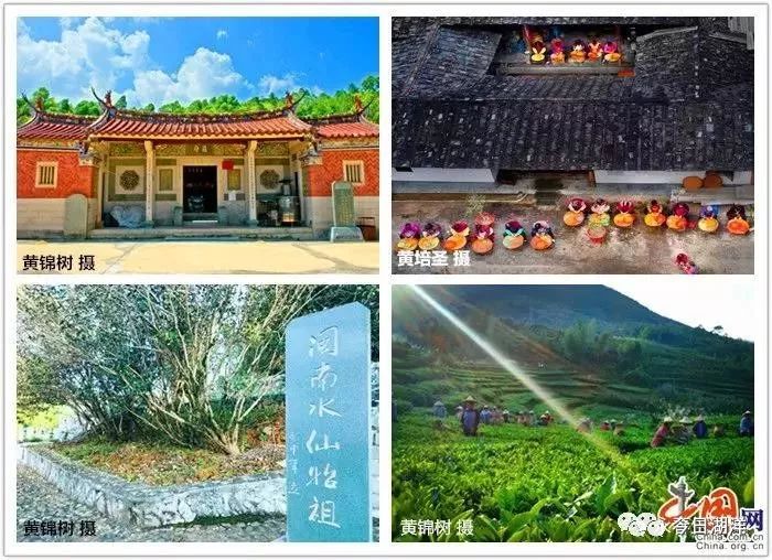 永春县湖洋镇:人文厚土,生态宜居,助力绿富同兴新崛起_乡村