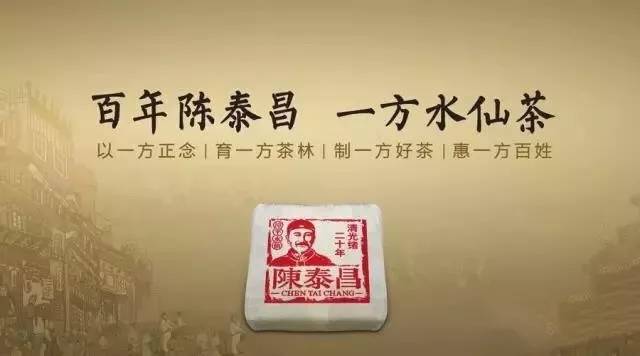 斩获巴拿马万国博览会金奖的中国水仙茶标杆品牌「陈泰昌」漳平水仙