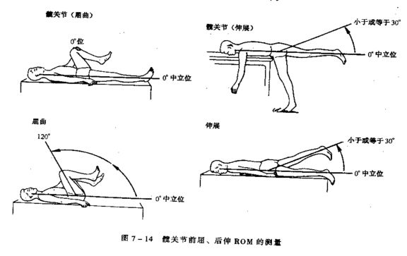 留言解读关节活动度测量