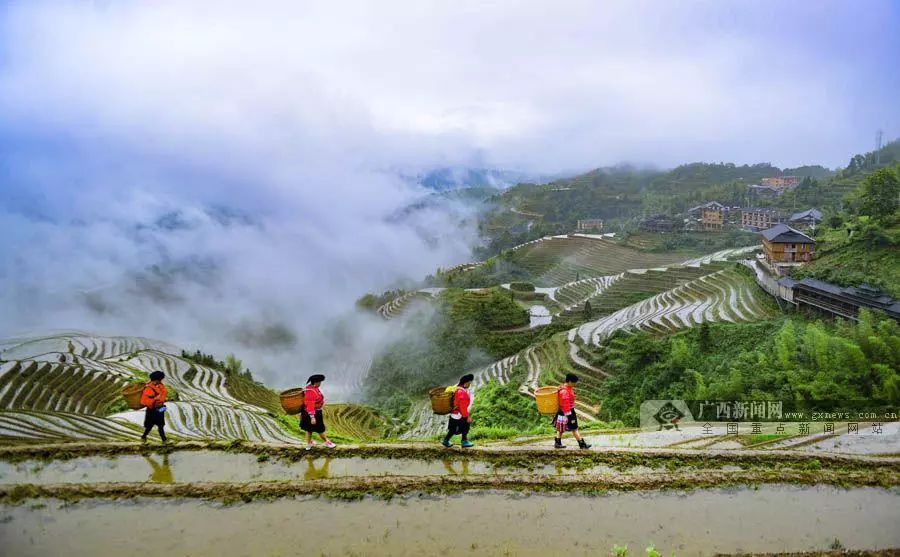 桂林市龙胜各族自治县龙脊镇大寨村