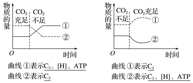 理清外界条件变化时,c5,c3[h,atp等物质的量变坏的4种