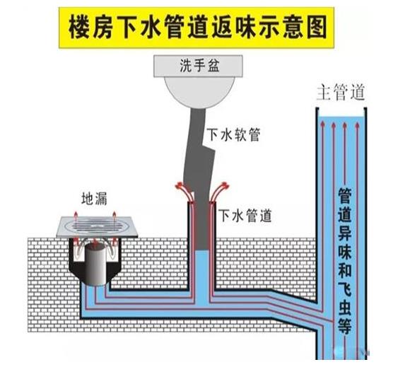 地漏返味,臭气扑鼻?用这几招,下水道畅通没异味