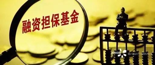 免收再担保费;同时,联合各地担保,再担保机构,以专项再担保业务的方式