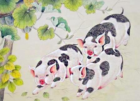 豕姓人口_人口普查图片(3)