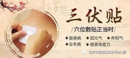 三伏贴膏以古方为基础,具有温通经络,散寒祛痰,扶正固本的功效,对于