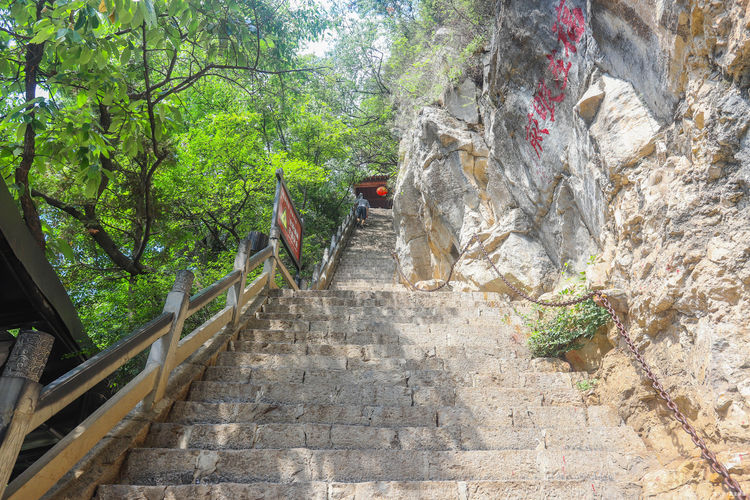 武当山人口_武当山图片风景图片(2)