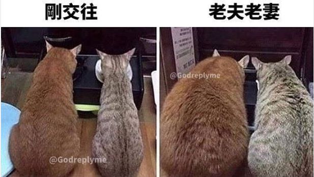 按F进入坦克什么梗?看完这几张图就明白了