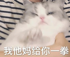 吵架必备表情包