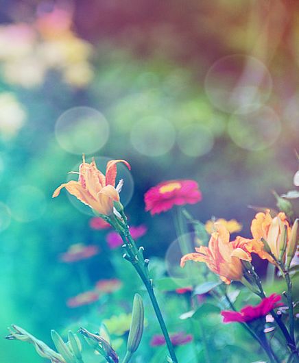 八月,心中有阳光,终会见彩虹