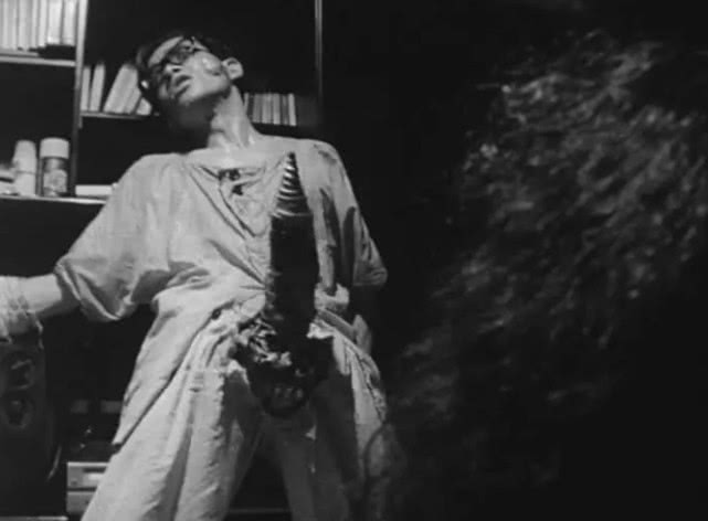 怖老电影,口味之重不亚于《下水道的美人鱼》