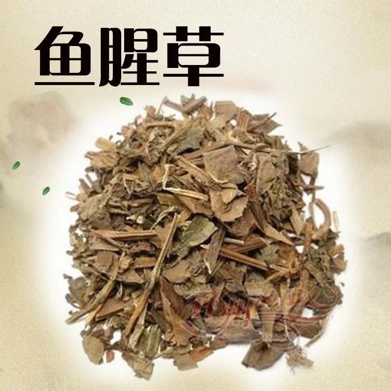 鱼腥草 鱼腥草为双子叶植物,三白草科蕺菜,属鱼腥草的全草.