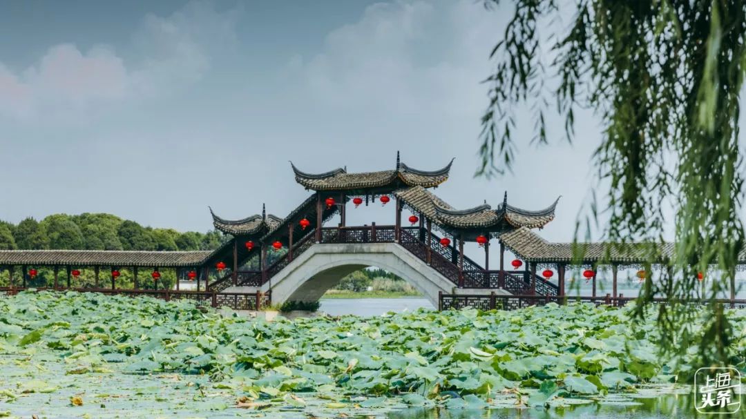 古莲人口_古莲林场(3)